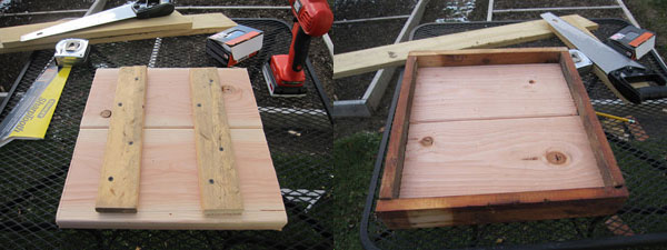 homemade bird feeder