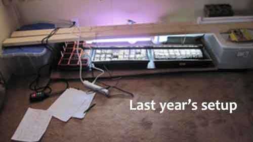 seed starting setup