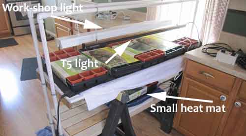 DIY seed starting setup