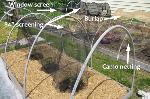 Vegetable garden shade cloth ideas
