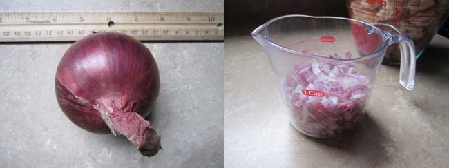 size of an onion