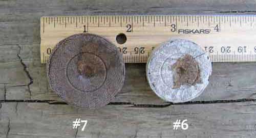 Jiffy peat pellets