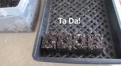 finished soil blocks