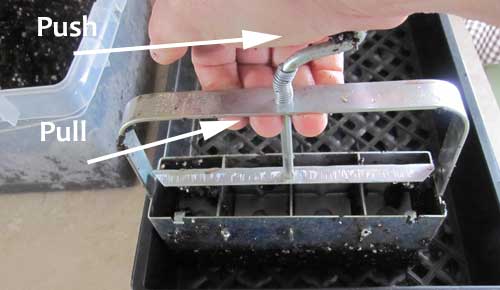 putting soil blocks in seed flat
