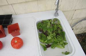 Folding garden table with sink