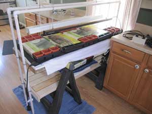 seed starting setup