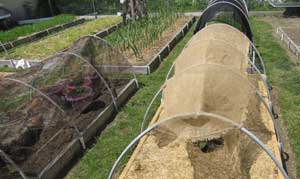 Vegetable garden shade cloth ideas