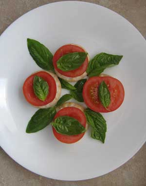 tomato basil mozzarella bites